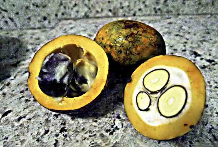 Frutas brasileiras