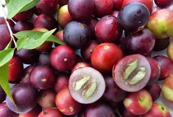 Frutas brasileiras