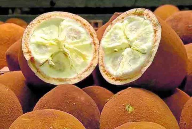 Frutas brasileiras que poucos sabem que existem