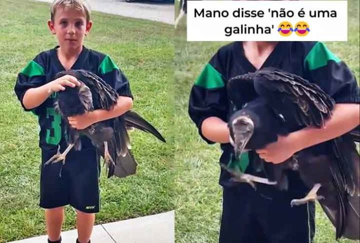 Abutre ou Urubu