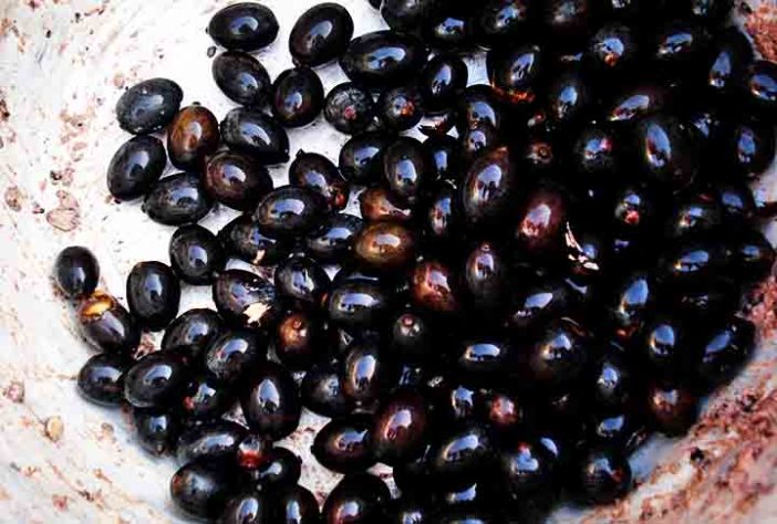 Frutas brasileiras