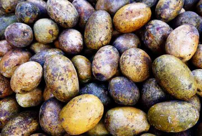 Frutas brasileiras