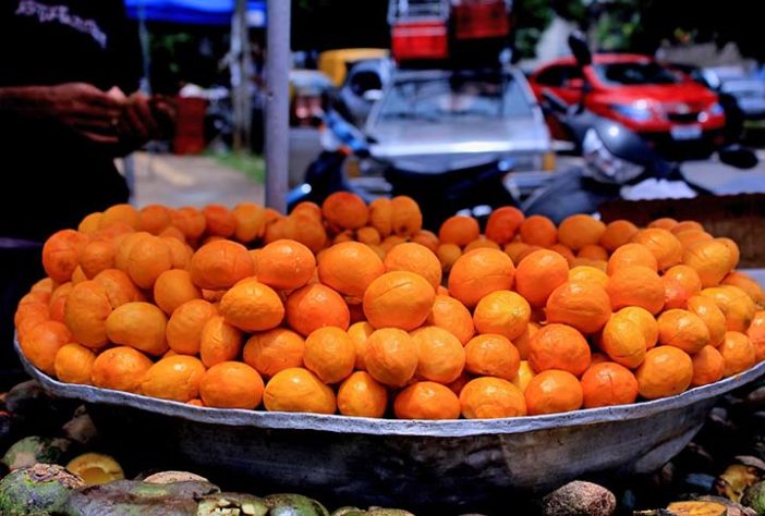 Frutas brasileiras