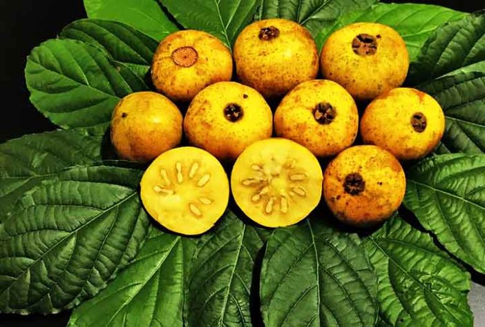 Frutas brasileiras