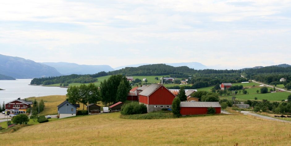 Águias