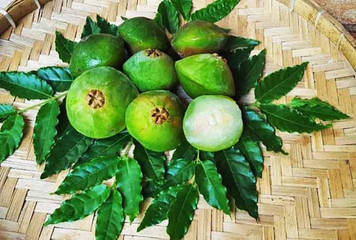 Frutas brasileiras