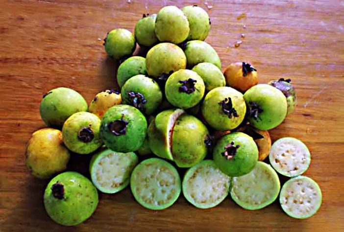 Frutas brasileiras