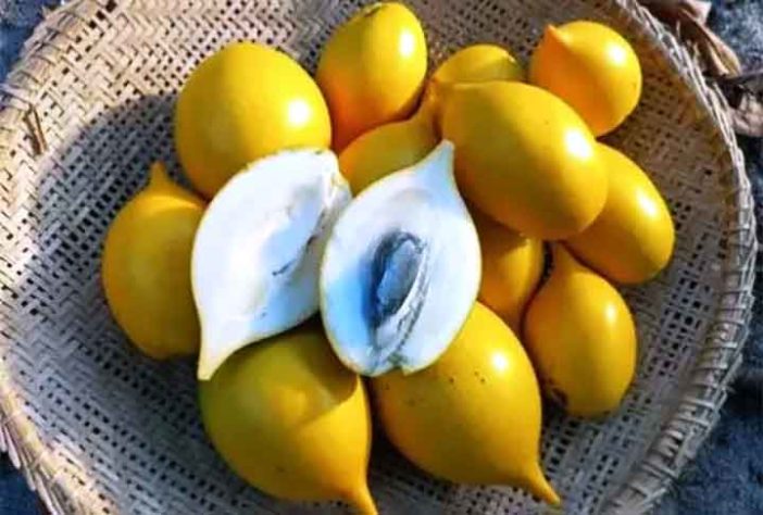 Frutas brasileiras