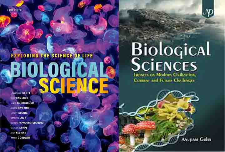 A nova espécie foi nomeada de Flammarionella heihakuni e descrita na revista científica Biological Sciences no mês de setembro. O nome foi uma homenagem ao astrônomo francês Camille Flammarion e ao colecionador amador Haikun He, que doou diversos espécimes preservados em âmbar aos cientistas.