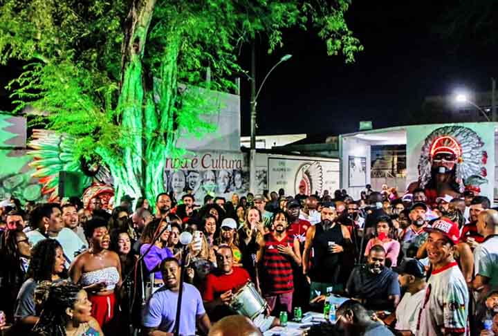 Um símbolo do Cacique de Ramos é a tamarineira, árvore que está no local onde ocorrem as rodas de samba do bloco. Ela é citada na canção “Doce Refúgio”, de Luiz Carlos da Vila. 
