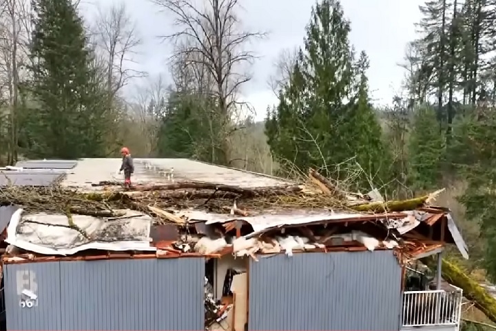 Aproximadamente 470 mil casas ficaram sem energia elétrica na Costa Oeste dos Estados Unidos.