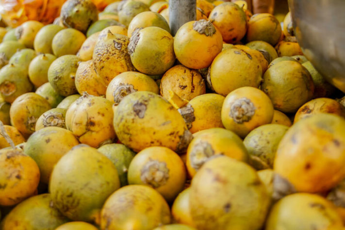 Frutas brasileiras