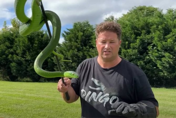 Pra quem não viu: YouTuber que filmava cobras morreu envenenado por mamba-verde
