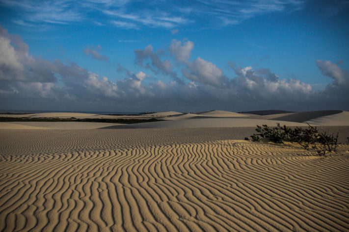 Dunas de Jericoacoara