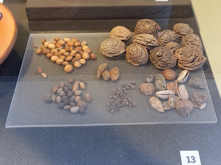Os arqueólogos encontraram vestígios que apontam que alimentos como nozes, uvas, figos e amoras faziam sucesso no local.-reprodução/x @DrJEBall