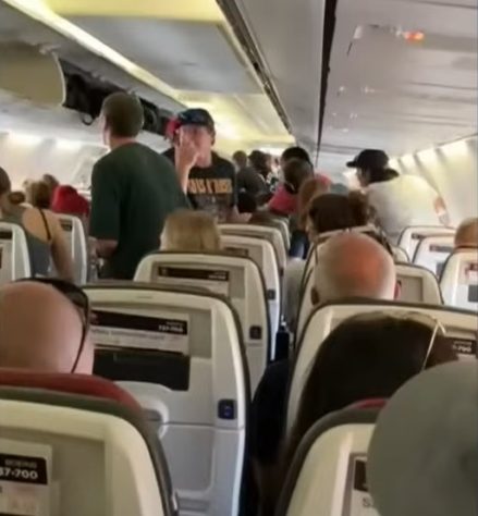 Cobra em voo assusta passageiros na Austrália