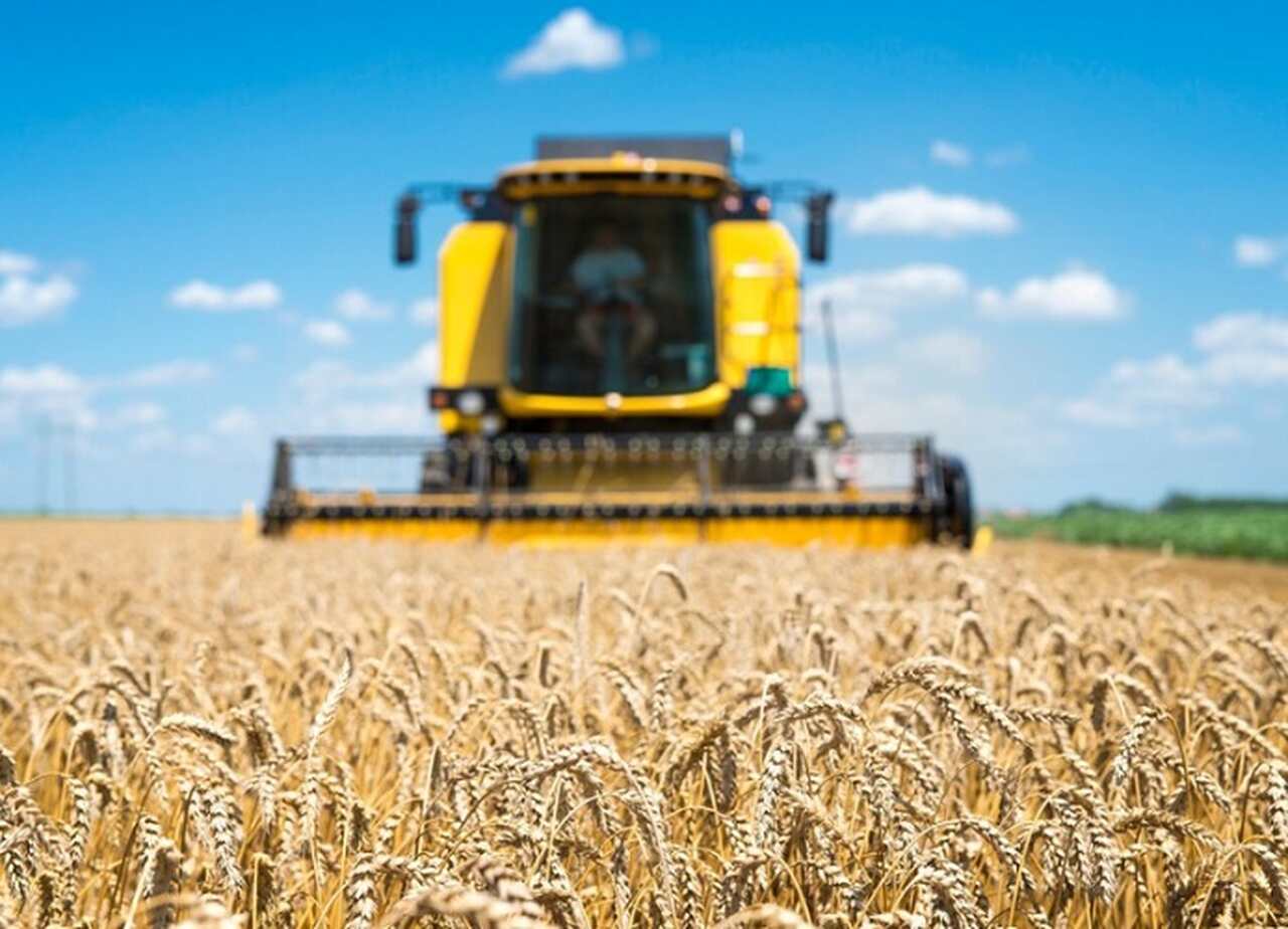 PIB perde fôlego e cresce 0,4% no segundo trimestre de 2025