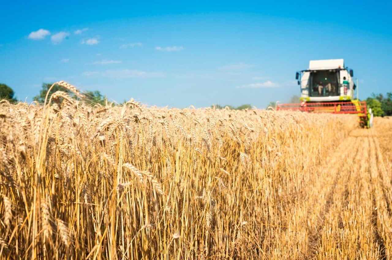 Governo suspende novas contratações do Plano Safra a partir de hoje (21/2)