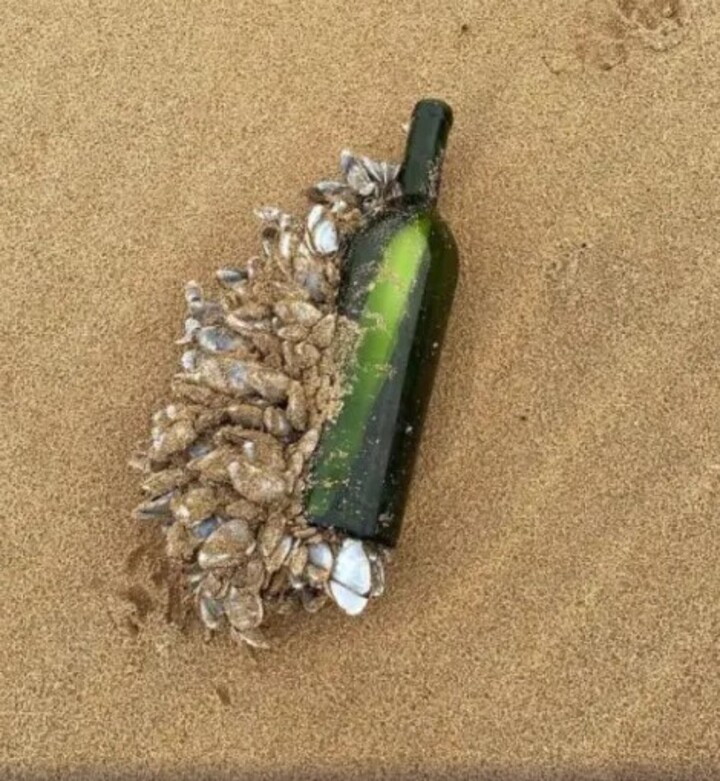 Recentemente, uma garrafa atirada ao mar no Brasil foi encontrada em uma praia australiana. O autor da mensagem identificava-se como Joe Johnson e dizia que o item foi atirado no Oceano Atlântico em novembro de 2008. Ele pedia que o responsável por achar o bilhete fizesse a devolução relatando onde o encontrou. Para isso, oferecia 20 dólares (R$ 118 na cotação atual). 
-Reprodução/Redes Sociais