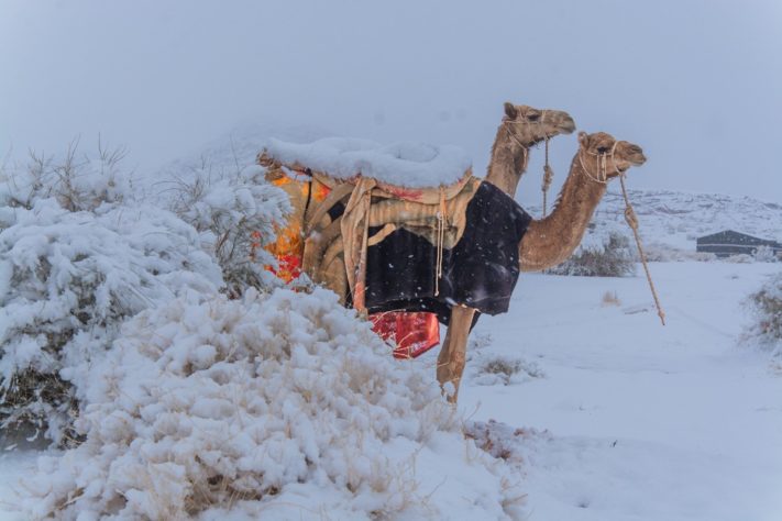 Deserto coberto de neve