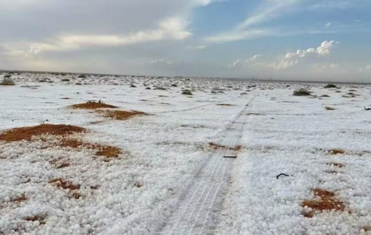 Deserto coberto de neve