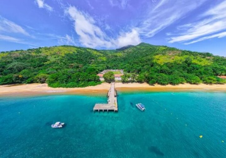 Os corpos das três capivaras foram encontrados na ilha Anchieta, parque estadual localizado em Ubatuba, no litoral norte paulista. Elas foram vítimas de encefalite provocada pelo mesmo vírus da raiva presente em morcegos-vampiros. Vale ressaltar que não há registro de transmissão de raiva humana por capivaras. 

