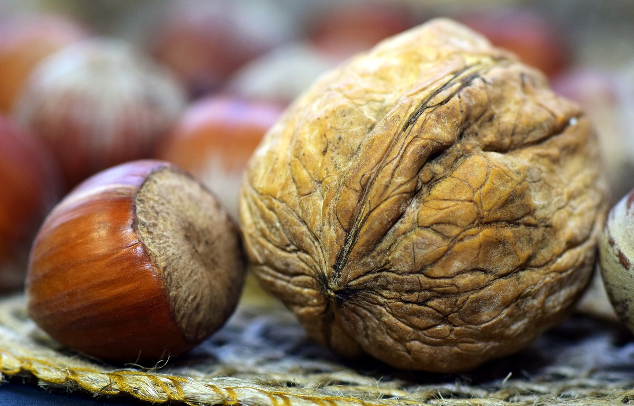 Oleaginosas: São nozes, pistache, castanha do Pará, avelã, castanha de caju e amêndoas. -Imagem de Leopictures por Pixabay

