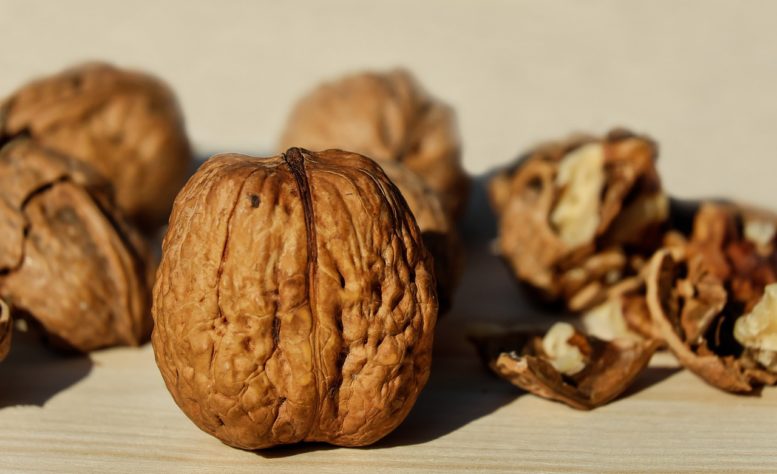 Alimentos para memória 