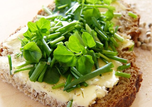 Agrião limpa o organismo, nutre  e combate a diabetes