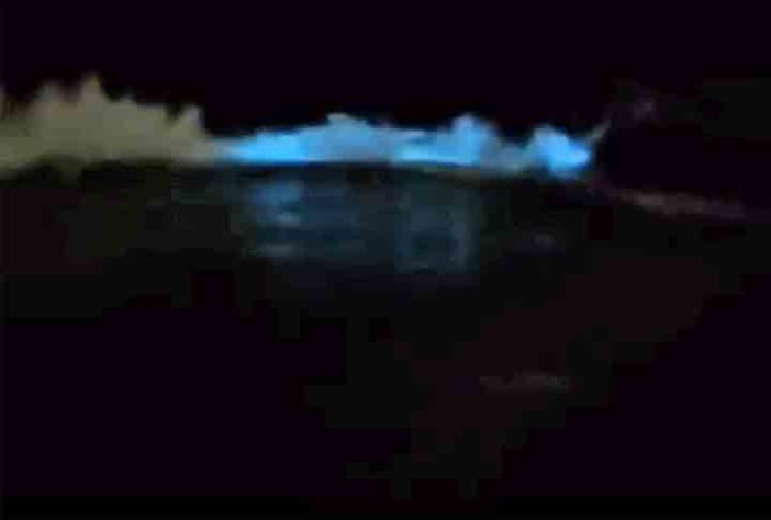 Mar Iluminado - bioluminescência