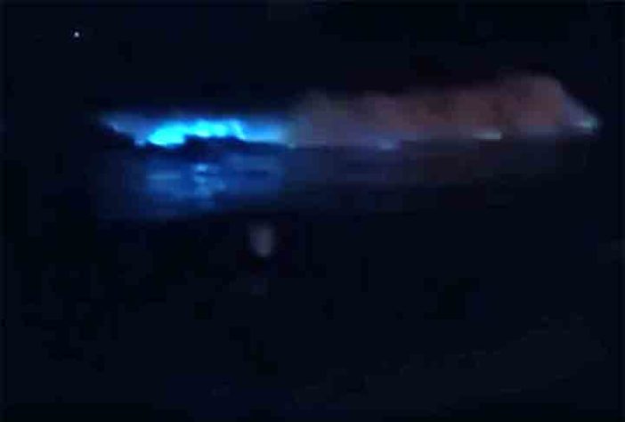 Mar Iluminado - bioluminescência