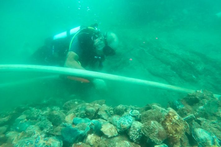 Naufrágio no Quênia pode ser de última viagem de Vasco da Gama