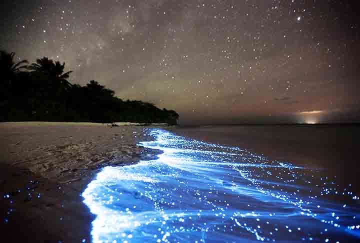 Ilha Vaadhoo - Ilha das Maldivas, no Oceano Índico, é conhecida pelo fenômeno bioluminescente causado por plânctons "Mar de Estrelas". 