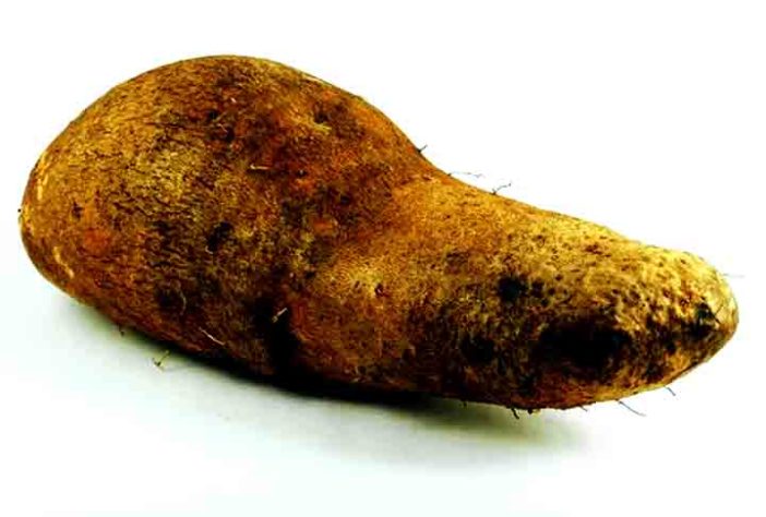 Tubérculos