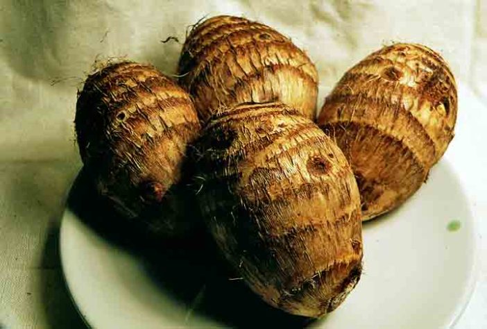 Tubérculos