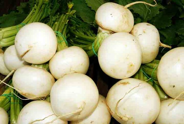 Tubérculos