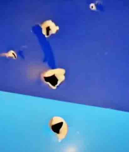 Imagens exibiram orifícios na cauda da aeronave e um site que monitora voos apontou que o avião da Azerbaijan Airlines sofreu uma interferência no GPS que provocou oscilação de altitude por mais de uma hora.
