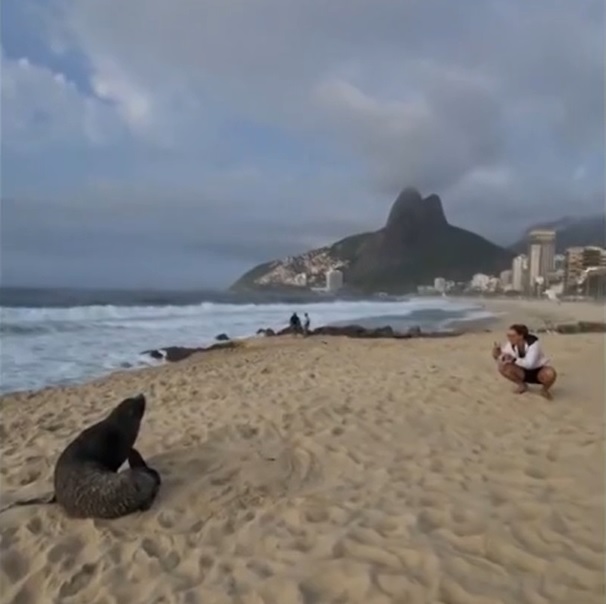 Se sentindo em casa, "Joca" já rolou na areia, deu um mergulho e até posou para fotos; uma verdadeira celebridade de Ipanema!