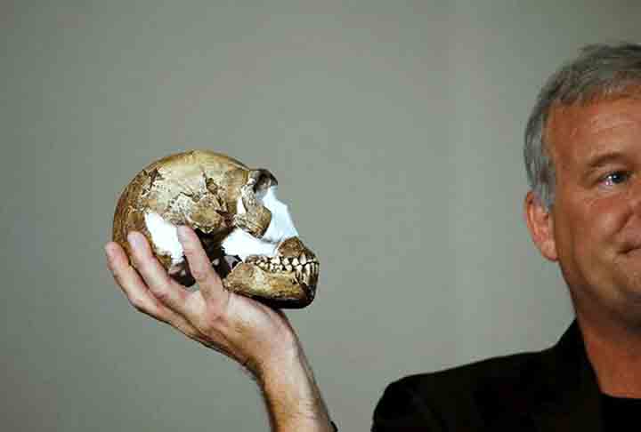 Revisão evolutiva - Após analisar 15 esqueletos de Homo Naledi descobertos em uma caverna da África do Sul, um grupo de cientistas contestou a tese de que essa espécie de hominídio tinha ações consideradas complexas, como enterrar os mortos e fazer decorações em sepulturas.

