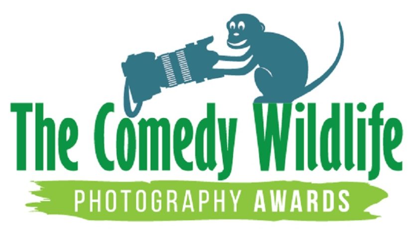 Comedy Wildlife Awards 