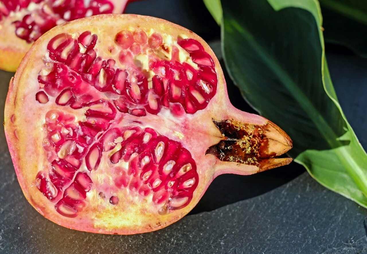 A romã costuma aparecer com mais frequência no mercado durante a primavera e o verão no Brasil, especialmente entre novembro e fevereiro. Essa é a época da colheita da fruta em regiões produtoras, como o Sudeste (principalmente São Paulo e Minas Gerais).