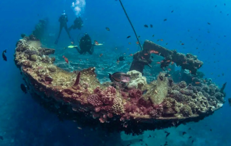 Arqueólogo descobre tesouro de 22 toneladas em navio naufragado em Portugal