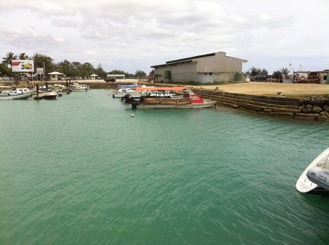 A vida em Tonga segue um ritmo mais lento, em harmonia com a natureza. A pesca e a agricultura são as principais atividades econômicas, e os moradores locais são famosos pela hospitalidade.