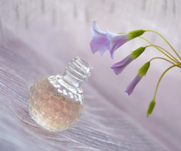 A prática da perfumaria se expandiu para outras culturas, com os gregos desempenhando um papel crucial ao tratar a arte da perfumaria de maneira mais sistemática, com autores como Teofastro, que no século IV a.C. escreveu sobre as propriedades das fragrâncias e sua aplicação.-Pixabay