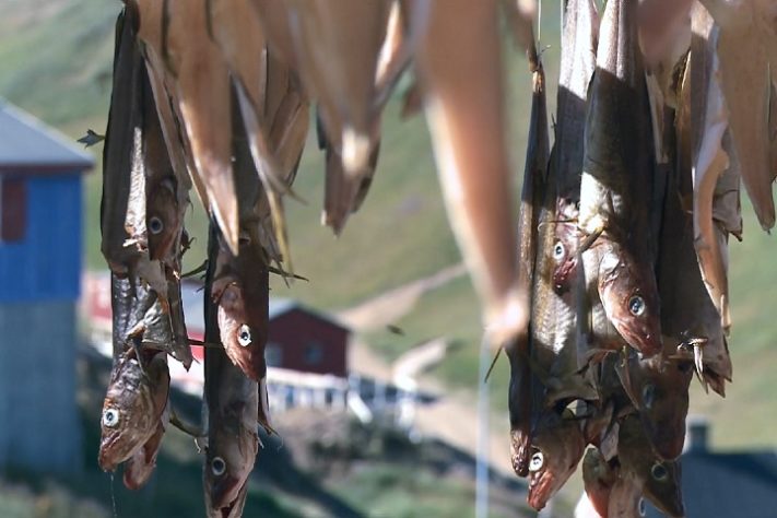 Pescados - Groenlândia