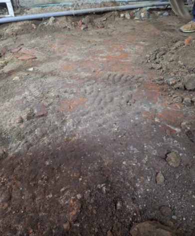 Arqueólogos encontram chão de ossos na Holanda