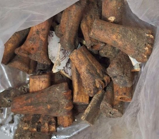 Arqueólogos encontram chão de ossos na Holanda