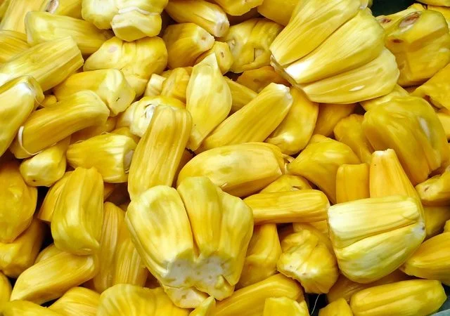 Maior fruta do mundo tem bagos carnudos que mais que alimentam