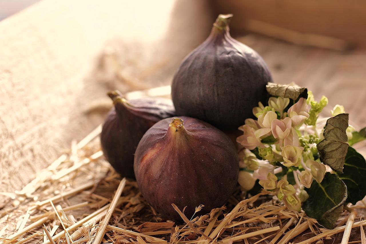 As flores do figo se abrem dentro de uma vagem, que amadurece e se torna o pseudofruto para ser consumido. Para que ele produza sementes fÃ©rteis, depende da polinizaÃ§Ã£o. 