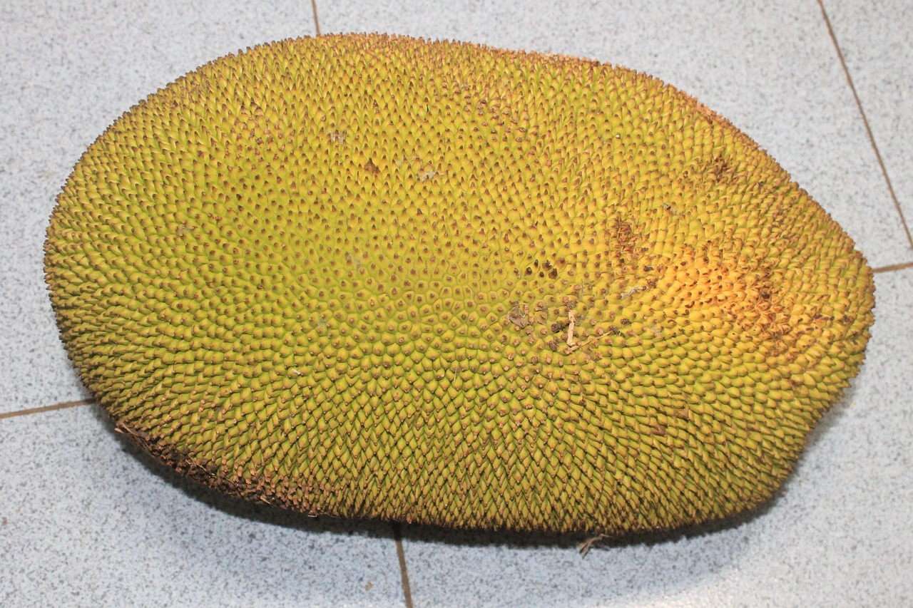 Os benefícios citados se devem ao fato da fruta ter ótimas quantidades de fibras, vitamina C e compostos antioxidantes, como flavonoides, saponinas, carotenoides e compostos fenólicos.